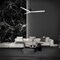 Modern Forms Fans Spinster Indoor or Outdoor Smart Ceiling Fan 3000K LED in Matte Black/Matte White FR-W2404-60L-MB/MW - alternate 8